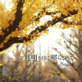 dl_s003 dl_s003